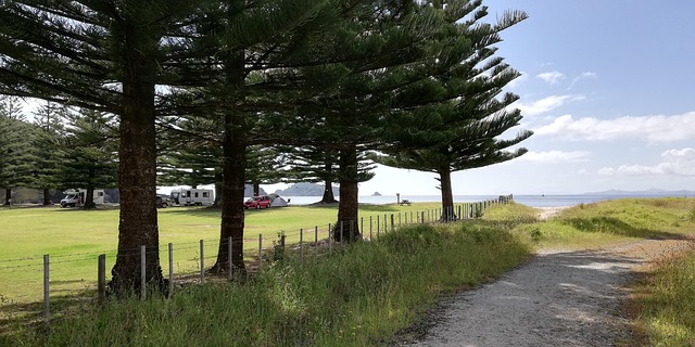 Free New Zealand North Island photo and picture