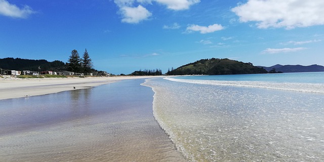 Free New Zealand North Island photo and picture