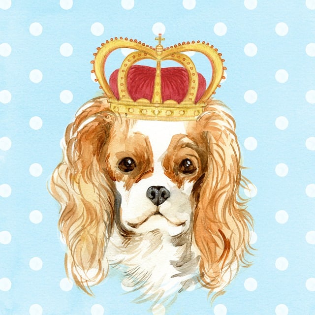 Free dog king pet illustration