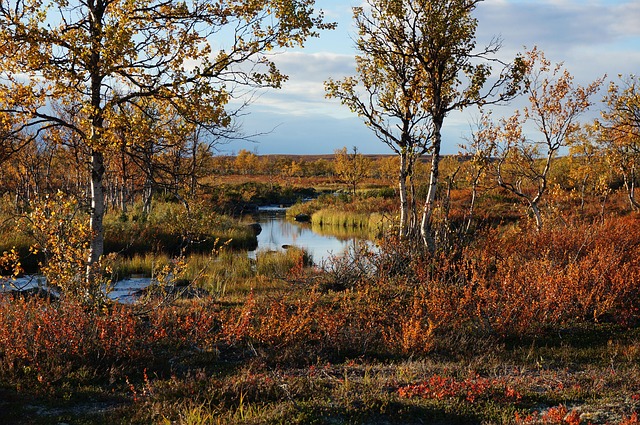 Free Idyllic Autumn photo and picture