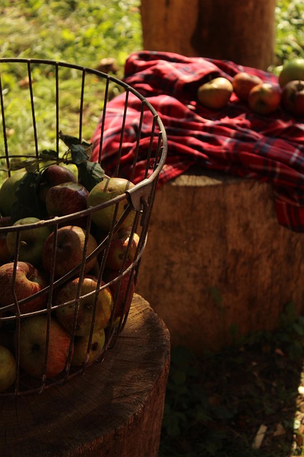 Free Apple Garden photo and picture