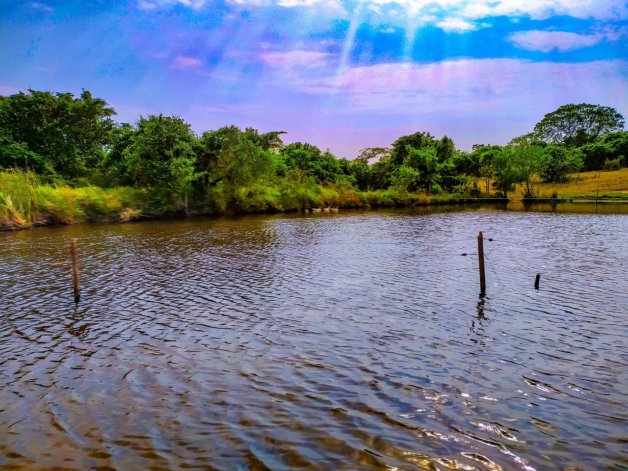 Eau Fleuve La Nature - Photo gratuite sur Pixabay - Pixabay