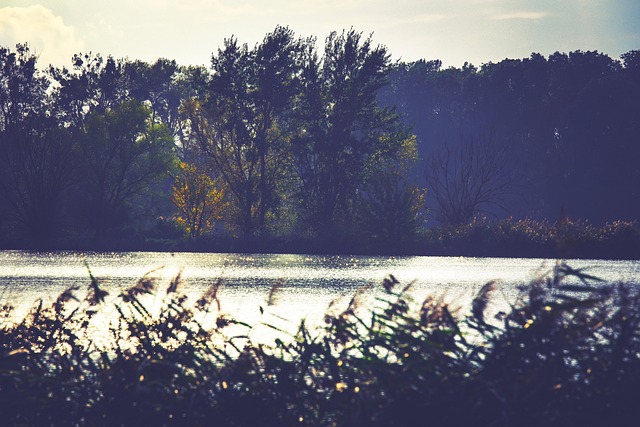 Free Autumn Water photo and picture
