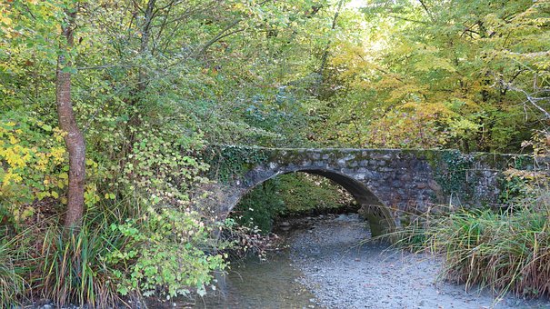 Free Fall Bridge photo and picture