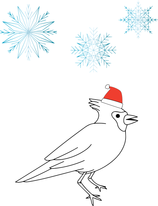 Vogel Kardinaal Kerstmuts Gratis Vectorafbeelding Op Pixabay