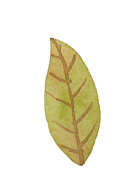 Blatt, Venen, Malen, Aquarell