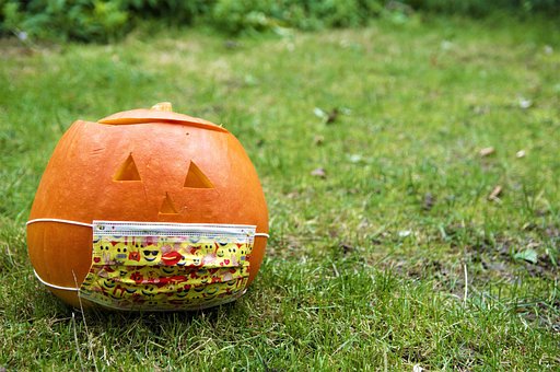 Free Pumpkin To Cut photo and picture