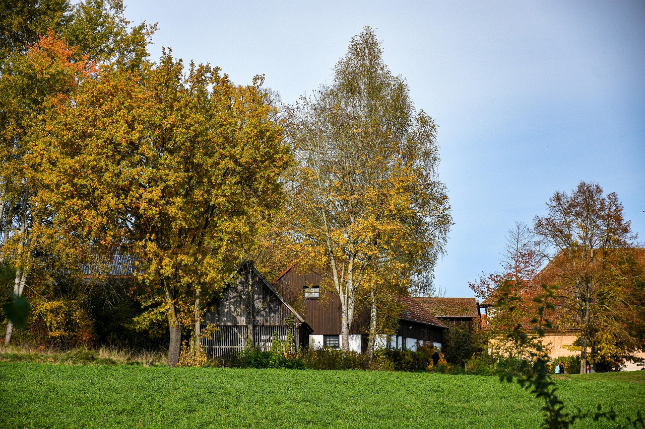 House - free online jigsaw puzzle photo