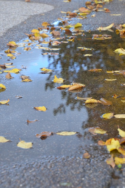 Free Puddle Fall photo and picture