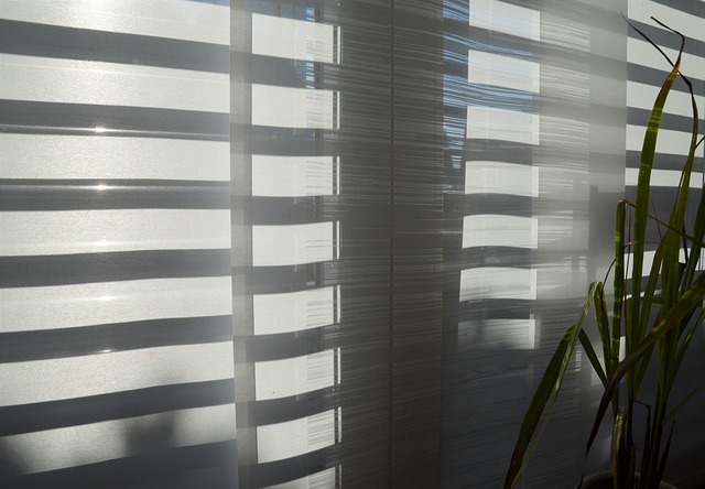Free Curtain Sunshine photo and picture