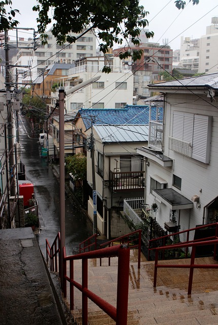 Street, Street Shot, Landscape