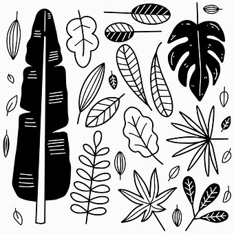 ใบไม้, พืช, หมึก, ภาพวาด, ที่วาดด้วยมือ