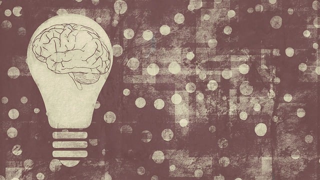 Free light bulb brain mindset illustration