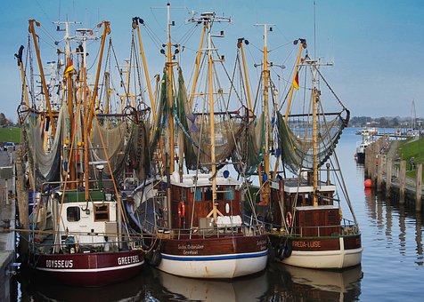 Free Greetsiel Port photo and picture