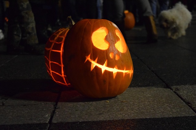Free Halloween Pumpkin photo and picture