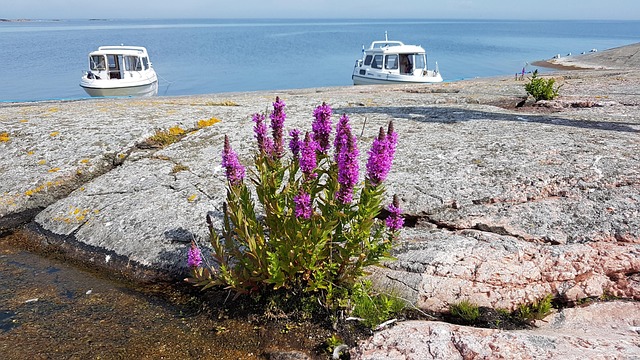 Free Finland Archipelago photo and picture