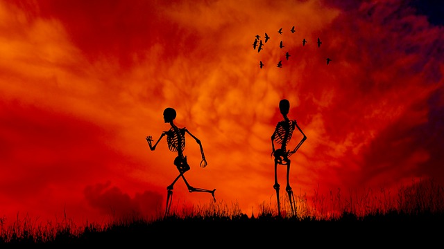 Download free HD stock image of Sunset Skeletons Free sunset skeletons silhouette illustration