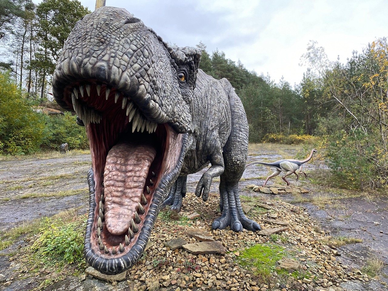 Dino Dinosaur Animal Free photo on Pixabay Pixabay