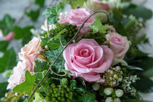 Free Roses Flowers photo and picture