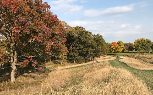 Free Autumn Trail photo and picture