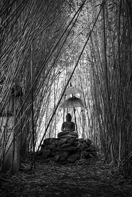 Free Buddha Bamboo photo and picture