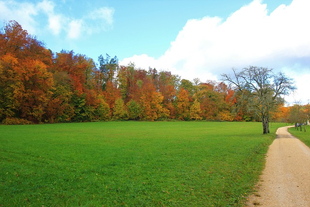 Free Fall Nature photo and picture