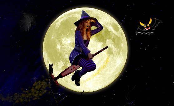 Free Witch Broom illustration and picture