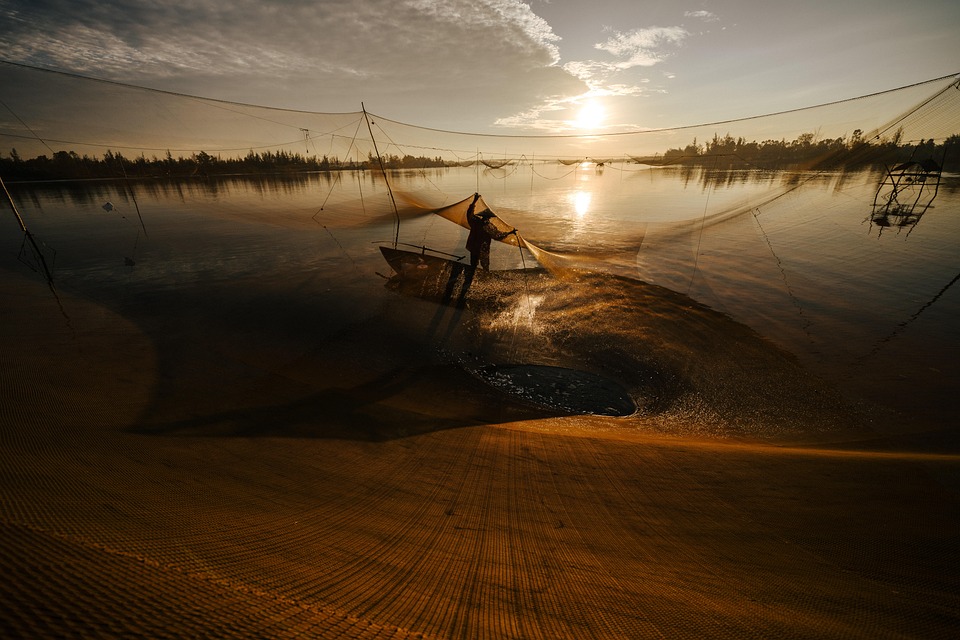 Baits, Lures, and Lines: Unlocking the Secrets of Successful Fishing