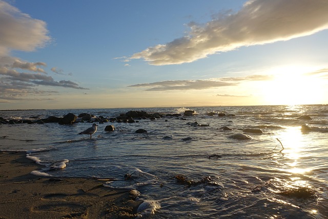 Free Sunset Costa photo and picture