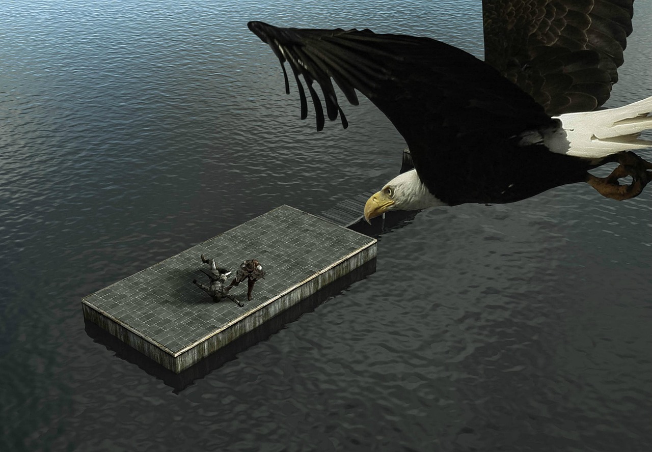 Eagle Raft 500+ Free Raft & Rafting Photos - Pixabay