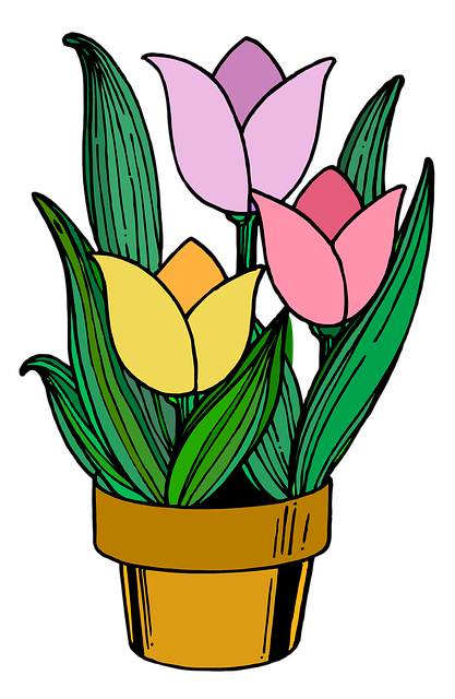 Tulpen, Topf, Pflanzen, Blumen