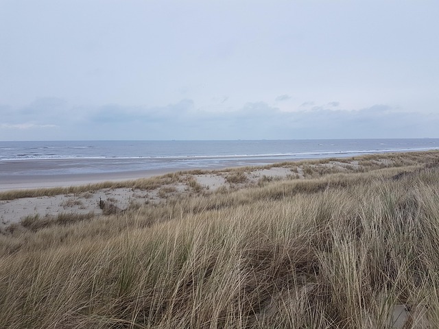 Spiekeroog, Düne, Nordsee, Meer, Natur