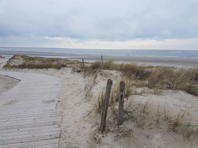 Spiekeroog, Düne, Nordsee, Meer, Sand