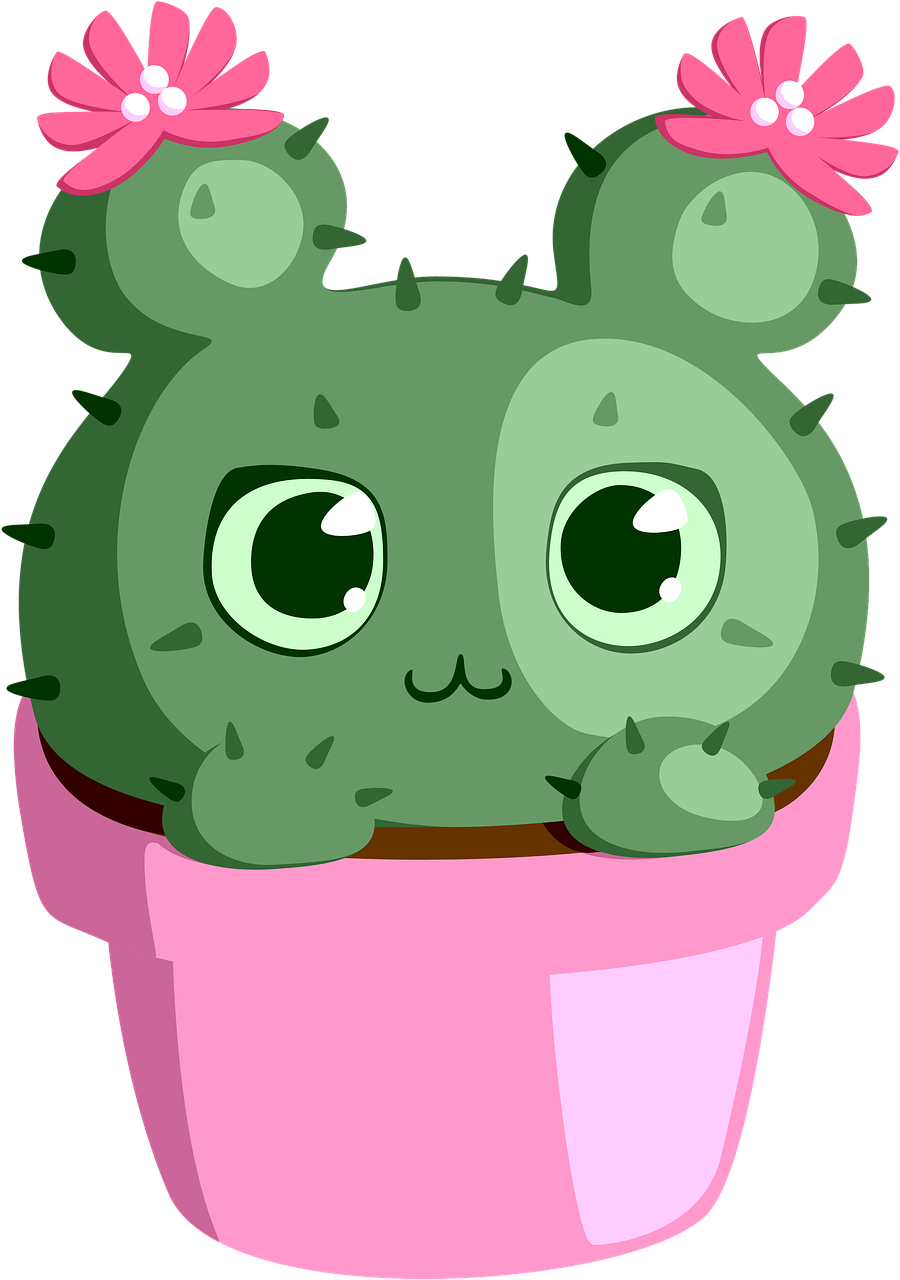 サボテン 多肉植物 植物 Pixabayの無料画像