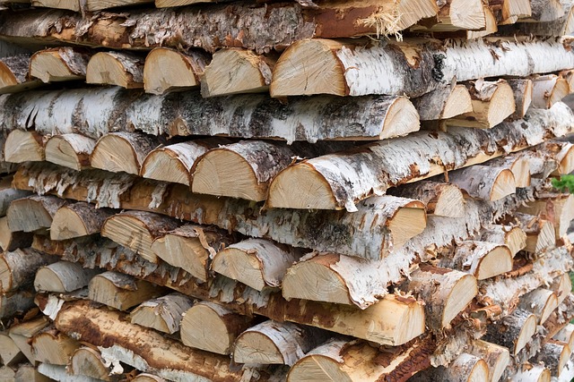 Brænde, Træ, Birketræ, Bark, Struktur