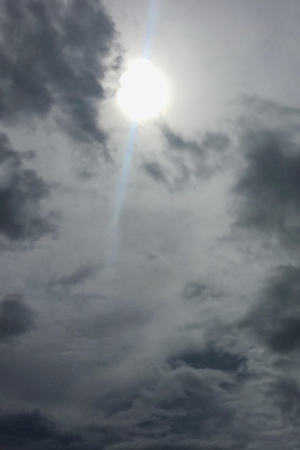 Free Darling Clouds photo and picture