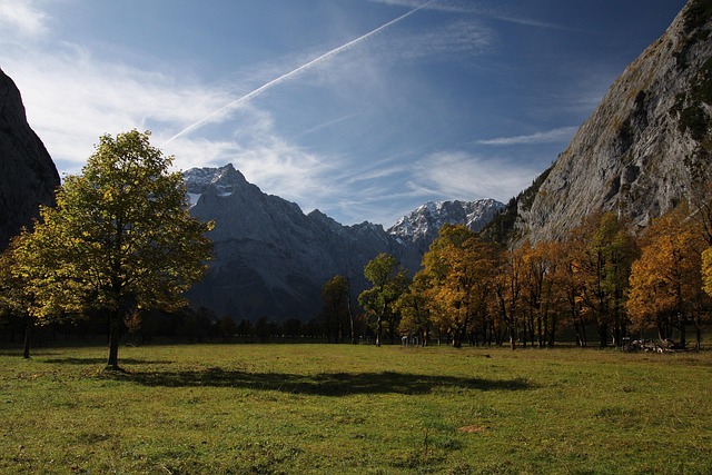 Free Karwendel Maple Floor photo and picture