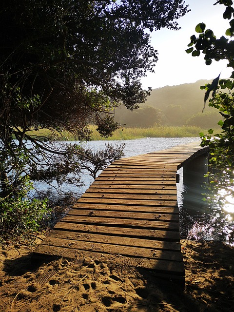 Free Nature Trail photo and picture