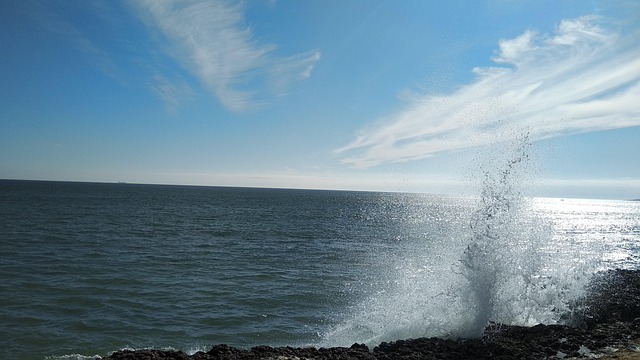 Free Beach Sea photo and picture