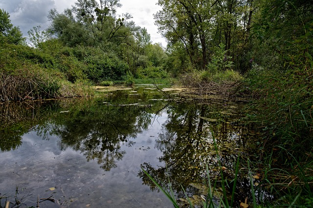 Gaf, Water, Natuur, Rivier, Landschap