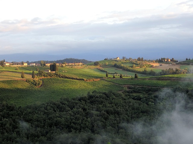 Free Tuscany Italy photo and picture