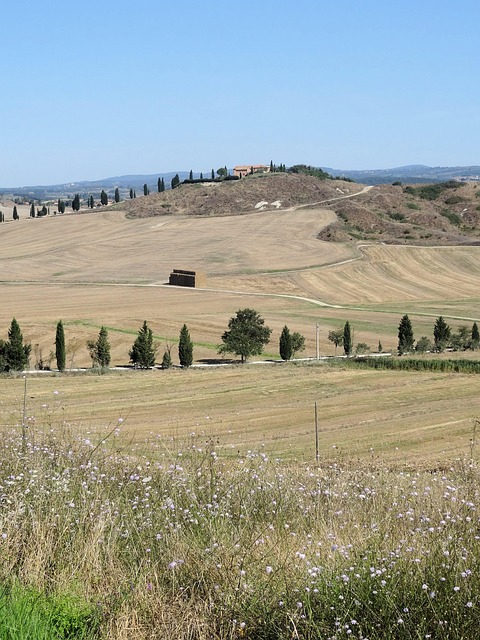 Free Tuscany Italy photo and picture