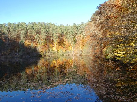 Free Lake Forest photo and picture