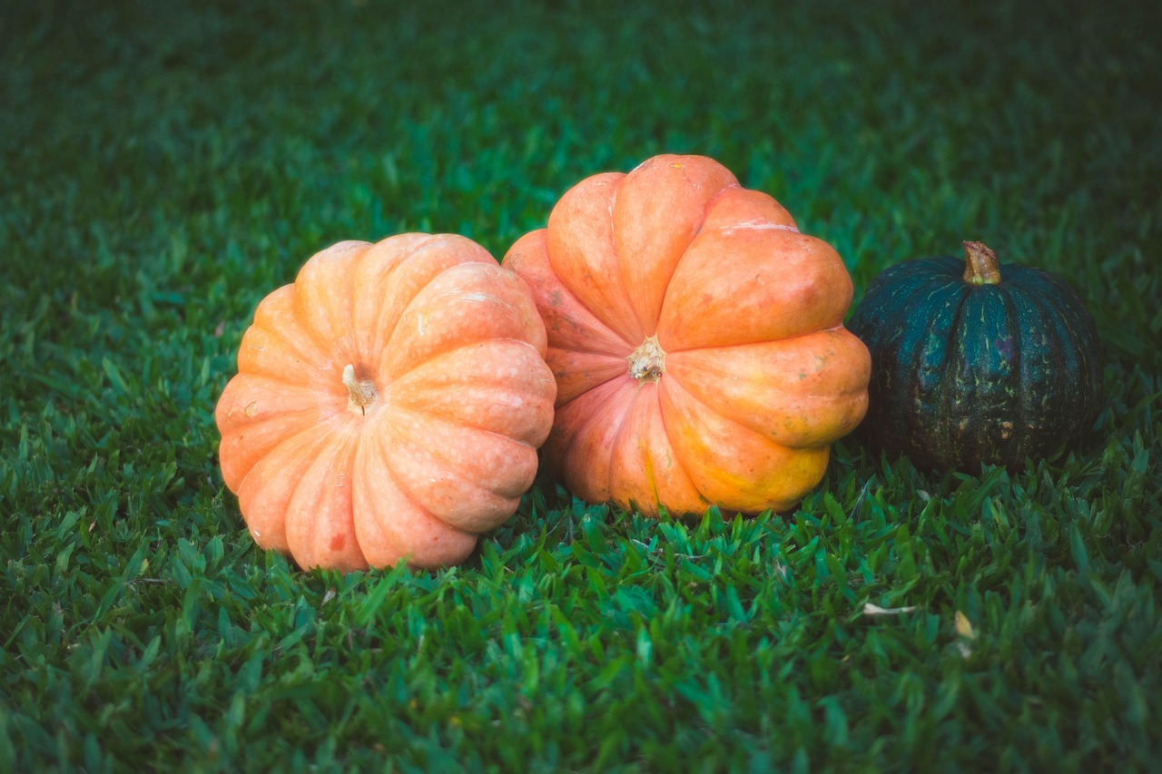 Pumpkins - free online jigsaw puzzle photo
