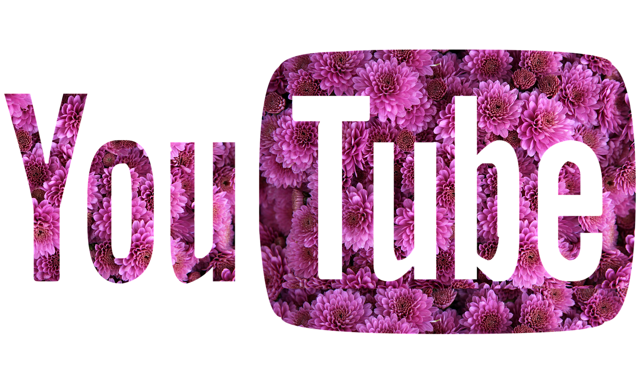 Download Youtube Flowers Youtube Youtube Logo RoyaltyFree Stock