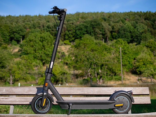 E-Scooter, Scooter Elétrico