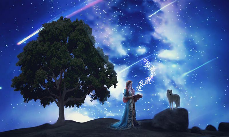 1以上の無料狼群 流星群画像 Pixabay