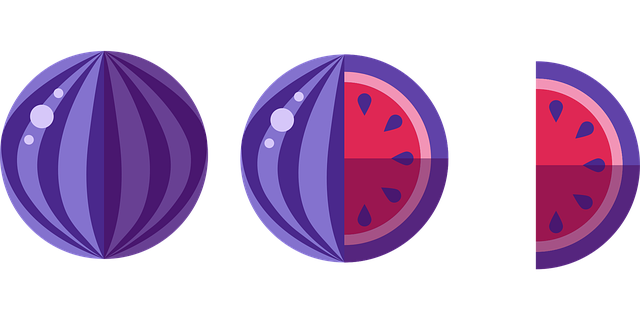 Free watermelon fruit seeds vector