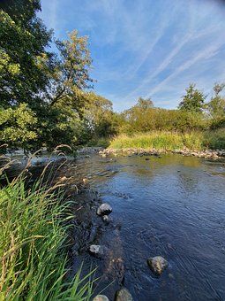 Free Bach Waters photo and picture