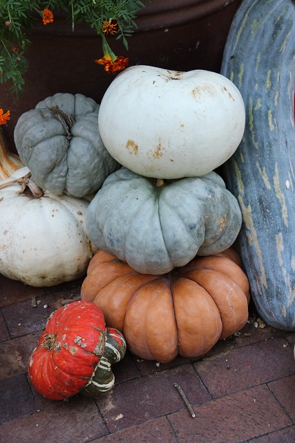Tombe Citrouille Gourdes Action De - Photo gratuite sur
